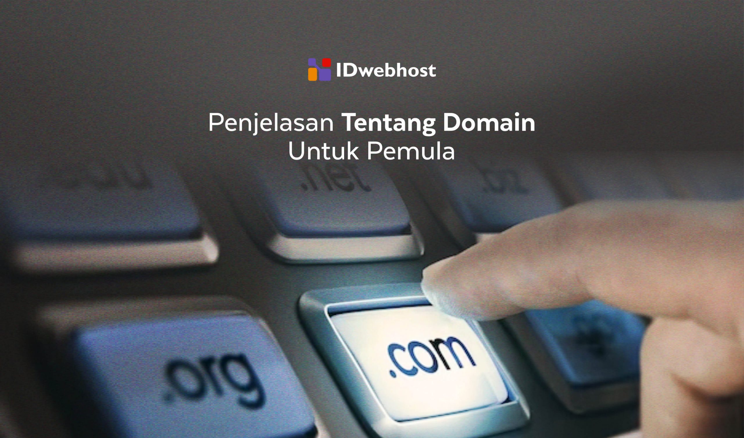 Featured image for Domain dan DNS Penjelasan Lengkap untuk Pemula