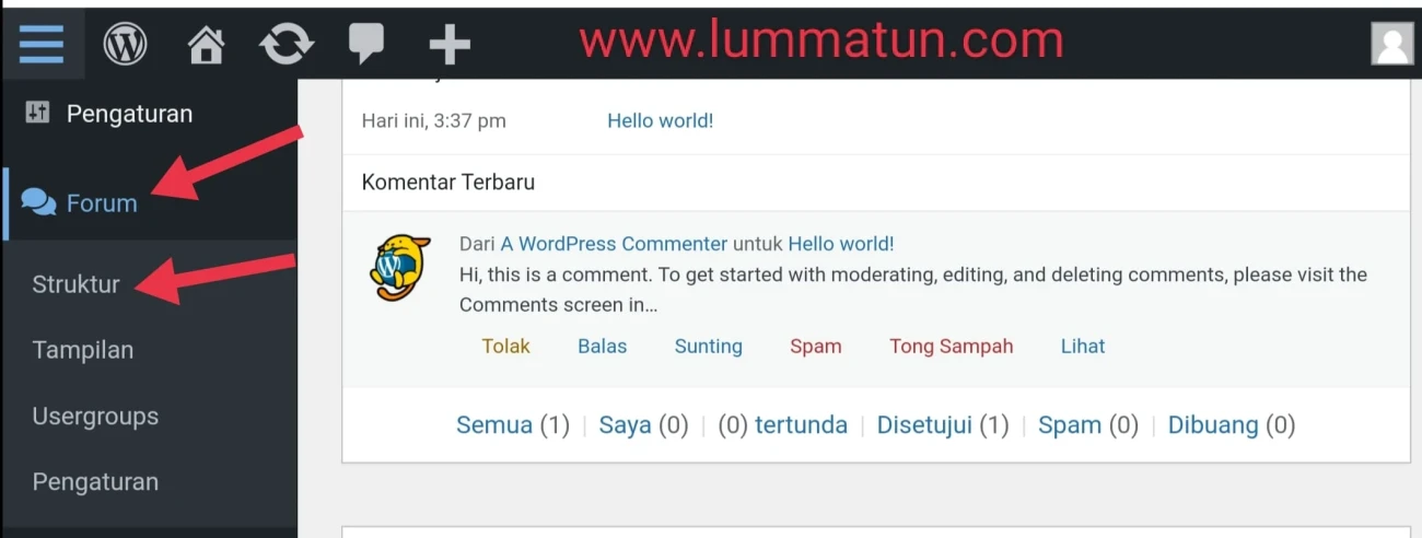 Cara Membuat Website Forum diskusi Online WordPress - Lummatun By Kang